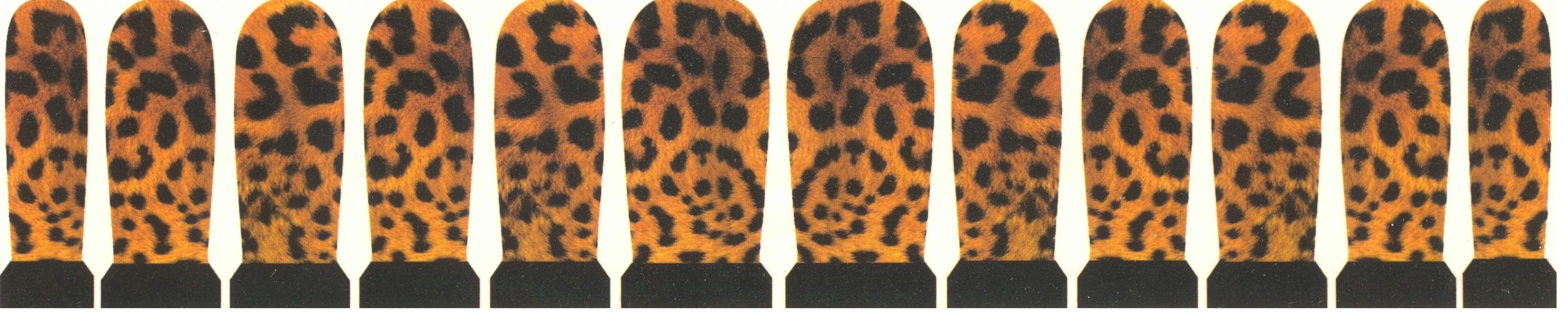 Jaguar Print
